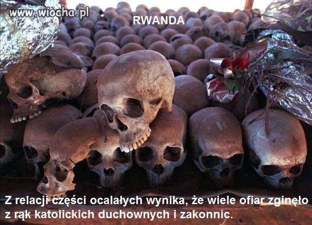Biskupi w końcu przeprosili
