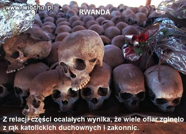 Biskupi w końcu przeprosili