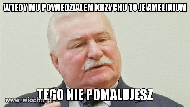 Leszke w meszke