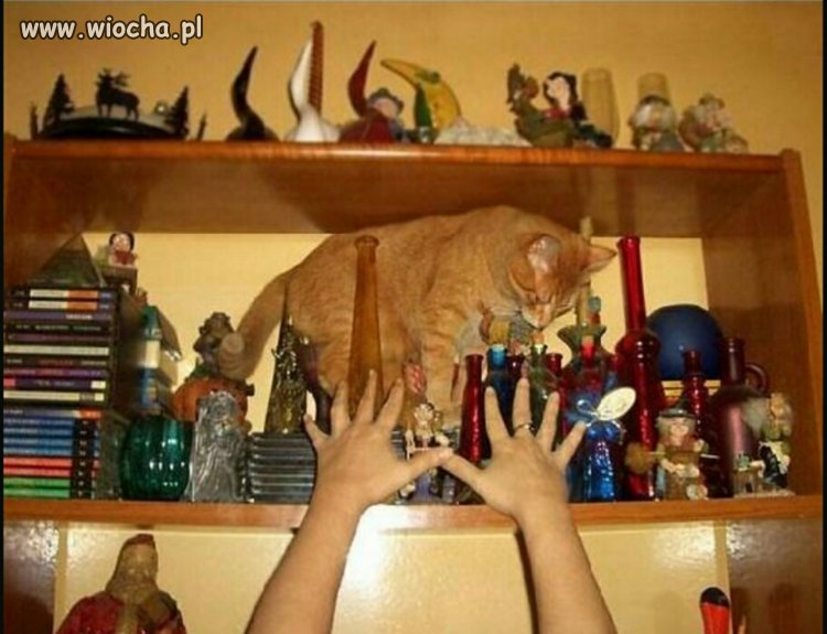 Katastrofa za ..3 ..2 ..1