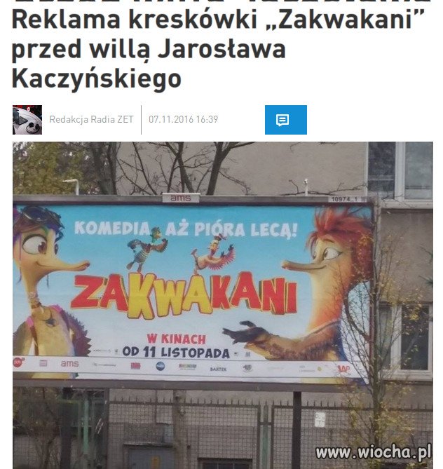 Przypadek?