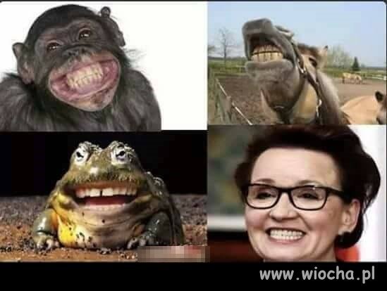 Uśmiech zwycięzcy