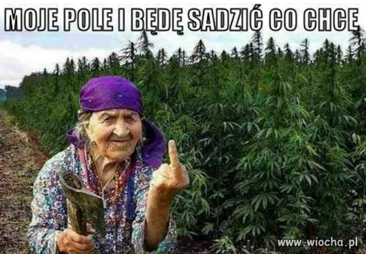 Mam nadzieję że dożyje takich czasów 