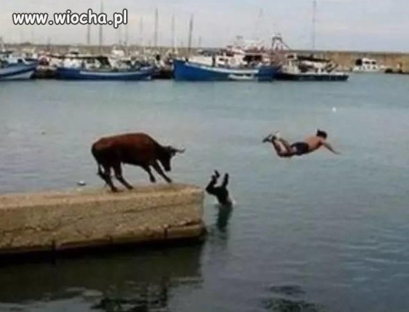 Red Bull doda Ci skrzydeł