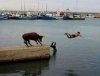 Red Bull doda Ci skrzydeł