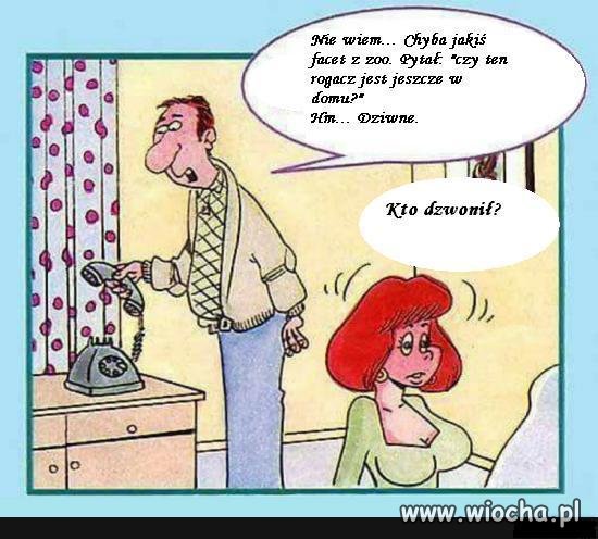 Dzwoni facet z zoo