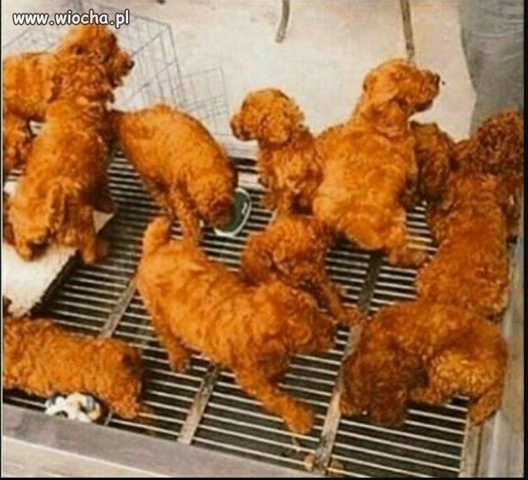 Nie, to nie jest KFC