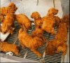 Nie, to nie jest KFC