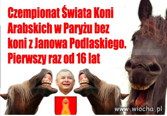 Nie będzie żadnych