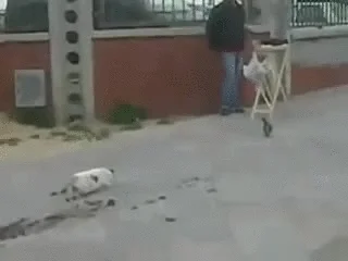 Ciężkie łowy ...