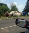 Tymczasem na wsi