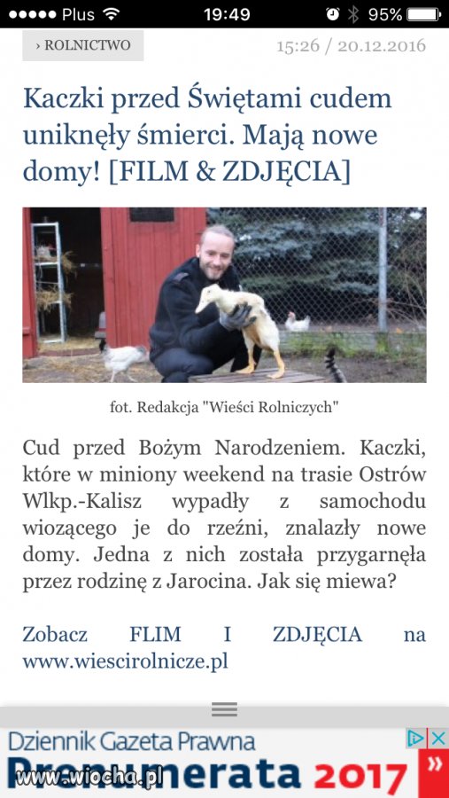 Kaczka -  dobrem narodowym