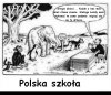 Polska szkoła