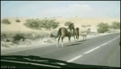 Na autostradzie ...