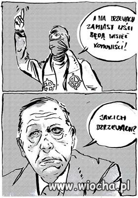 Szyszko i wszystko w tym temacie 