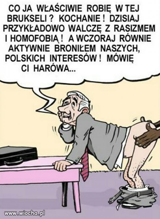 Polski polityk w Brukseli