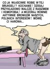 Polski polityk w Brukseli