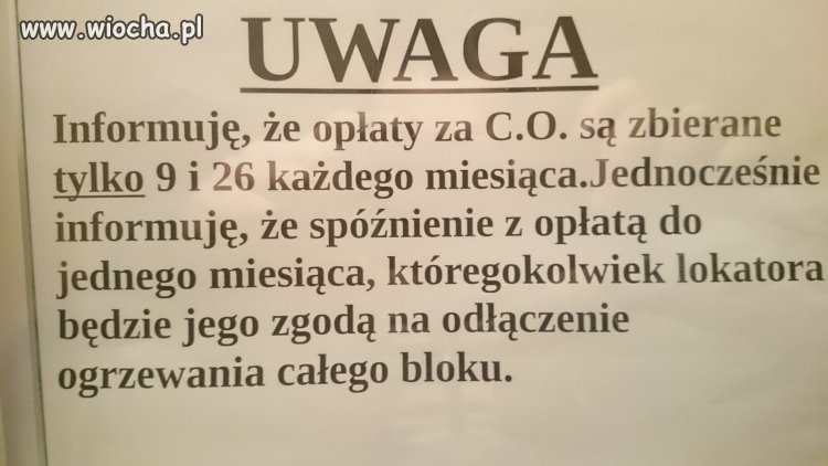 Lubaskie absurdy