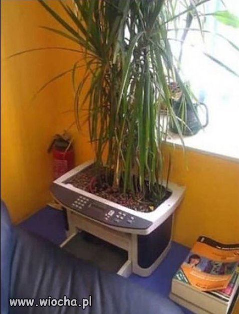 Drukarka 3D