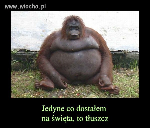 Magia Świąt