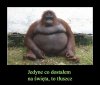 Magia Świąt
