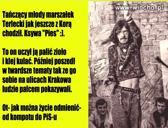 Gwiazda 