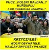 Kurdupel zapomniał drabinki 