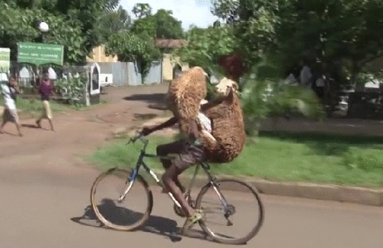 Transport.