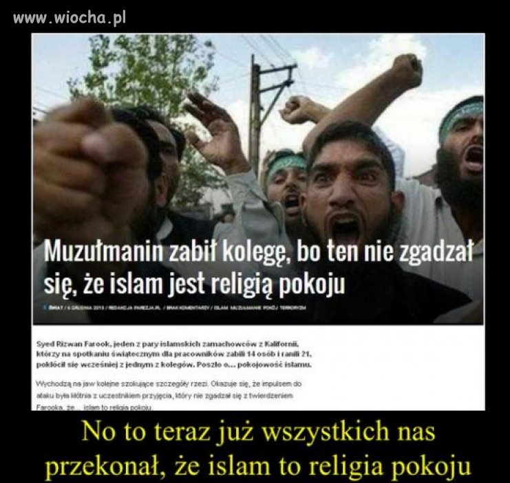 Logika porażająca, mózg rozj*** ...