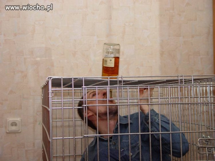 Klateczka, flaszeczka