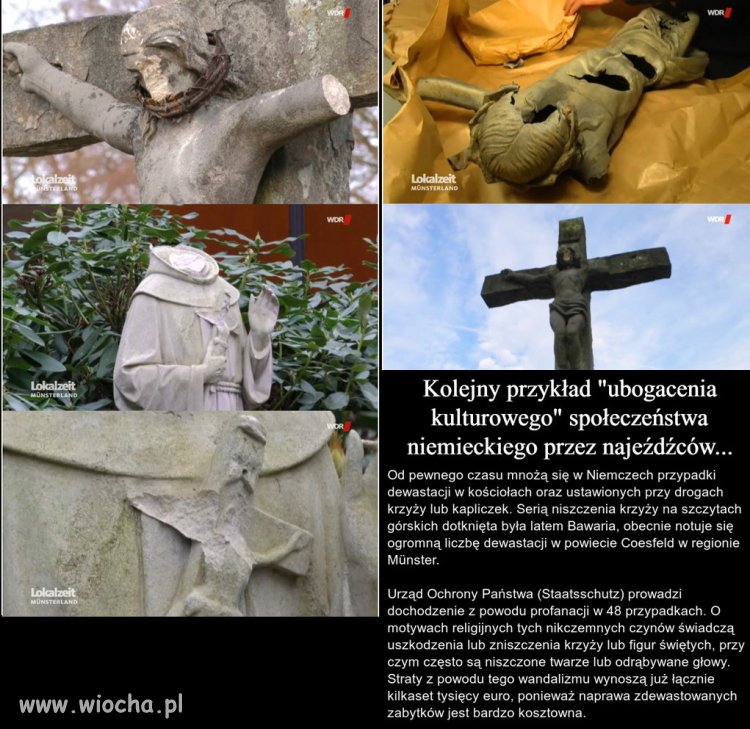 Bo przecież ci przyjezdni się dostosują