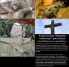 Bo przecież ci przyjezdni się dostosują