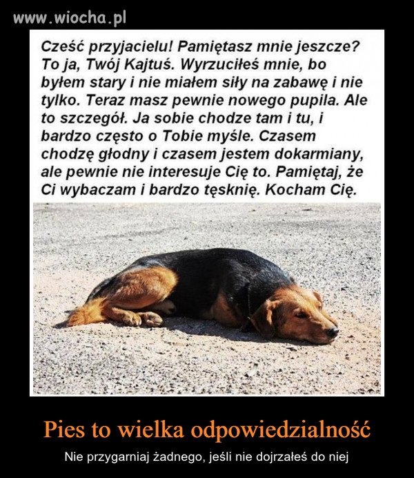 Szkoda, że jest tylu idiotów i tego nie rozumieją
