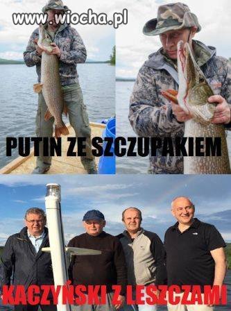 Podobieństwo