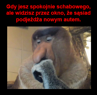 Nowa fura sąsiada.