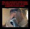 Nowa fura sąsiada.