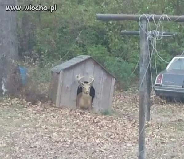 No i po świętach