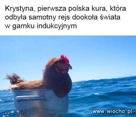 Krystyna i jej dziewczy rejs.