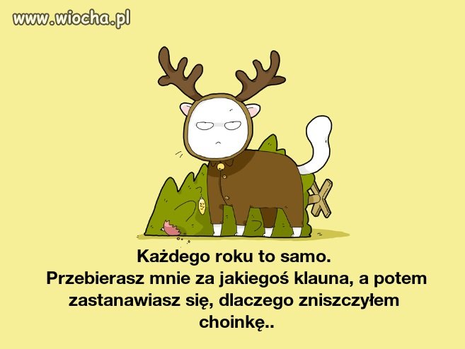 I przestańcie robić ze mnie wiochę 