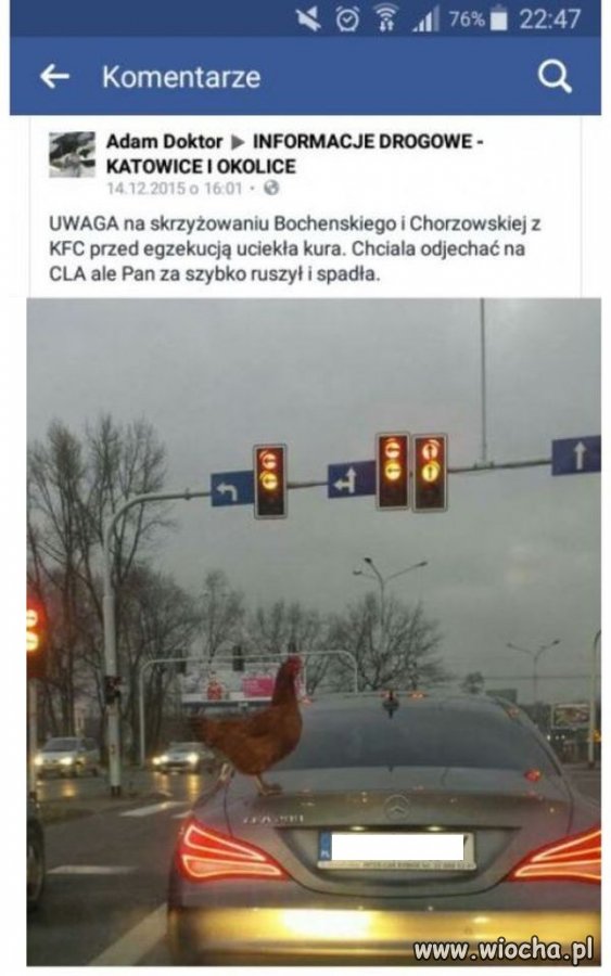 Brawurowa ucieczka przed panierką