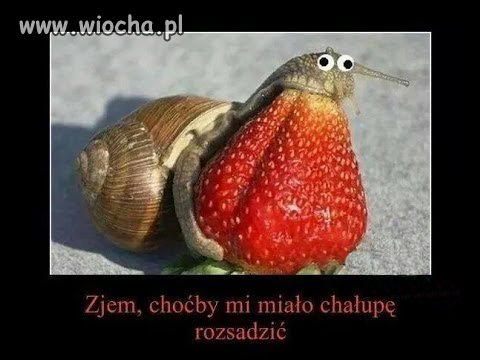 Oh malinka