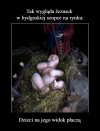 Jezusek po sterydach