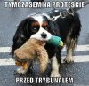 Przypadek?