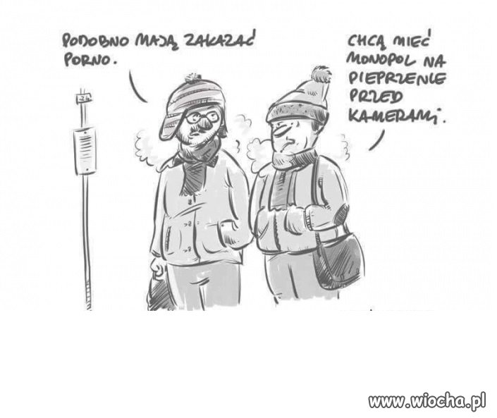 Heheszki polityczne