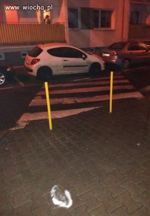 Mistrz Parkowania na pasach 