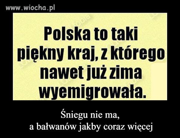 Krótko i na temat...