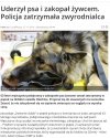 Człowiek to jednak bydlę
