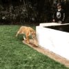 Paaa...