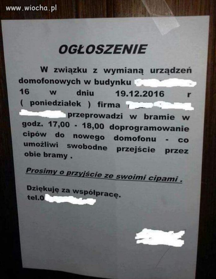Ogłoszenia