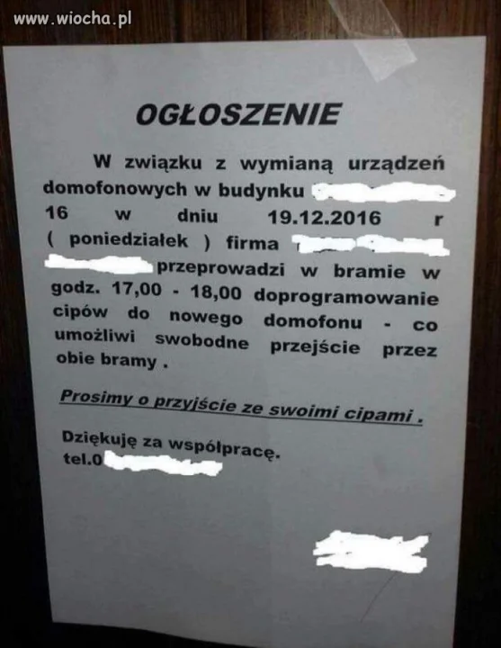Ogłoszenia